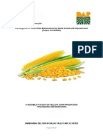 Feasibility Draft of Yellow Corn in Salug Valley (3-18-19)
