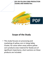 Feasibility Draft of Yellow Corn in Salug Valley (3!18!19)