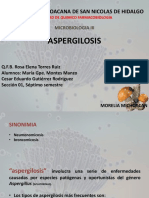 ASPERGILOSIS