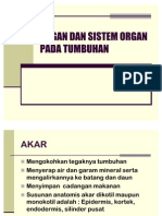 Organ Dan Sistem Organ Pada Tumbuhan