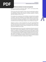 Download Apoptosis by kml21 SN4022340 doc pdf