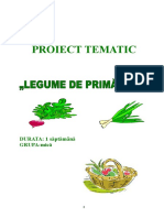 55proiecttematic.doc