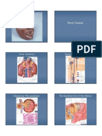 Renal Dsiease