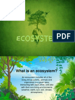 Components of Ecosytem