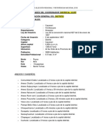 Informe Final Cayarani