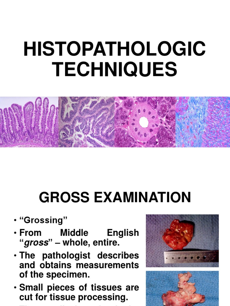 Histopathology Grossing Techniques | PDF | Fixation (Histology) | Staining