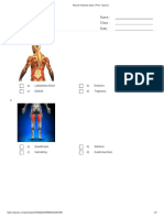 Muscle Anatomy Quiz Print - Quizizz