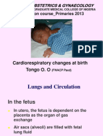 Cardiopulmonary Changes at Birth