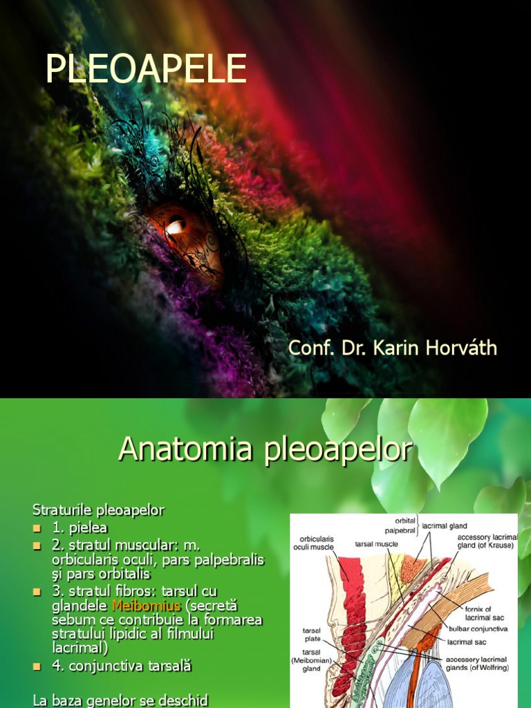 Pleoape | PDF