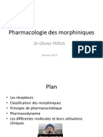 1044_UE_2.4_Morphiniques_2013.pdf