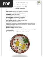 Roteiro Célula Eucarionte MP esse.docx