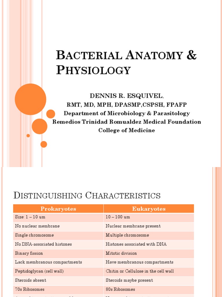 Bacterial Anatomy and Physiology Overview | PDF | Cellular Respiration ...