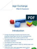 Foreign Exchange Risk&Exposure