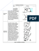 MANIOBRAS DE PÁNCREAS.docx