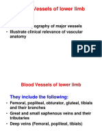 Blood Supply of Lower Limb