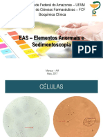 Slides de Revisão EAS - Urinálise (1)