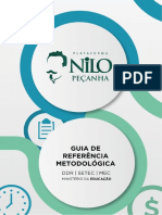 GuiaPNP.pdf