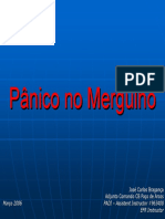 Panico_Mergulho.pdf