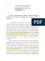 BASBAUM_Do_ponto_de_vista_ao_ponto_de_ex.pdf