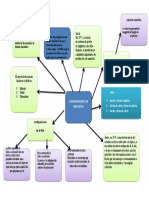 Mapa Conceptual FO