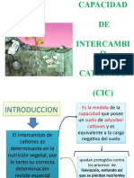 Capacidad de Intercambio Cationico 