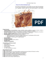 02- Anátomo-fisiologia da Pele.doc