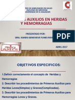 Pri Aux HyH Que EC presentacion Web.pdf