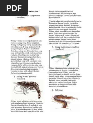 10 Buah Hewan Arthropoda Dan Vertebrata Docx