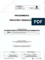 Induccion y Reinduccion V1.0 PDF
