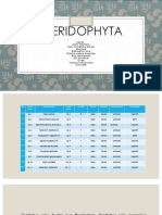 Pteridophyta TTR KLP 5