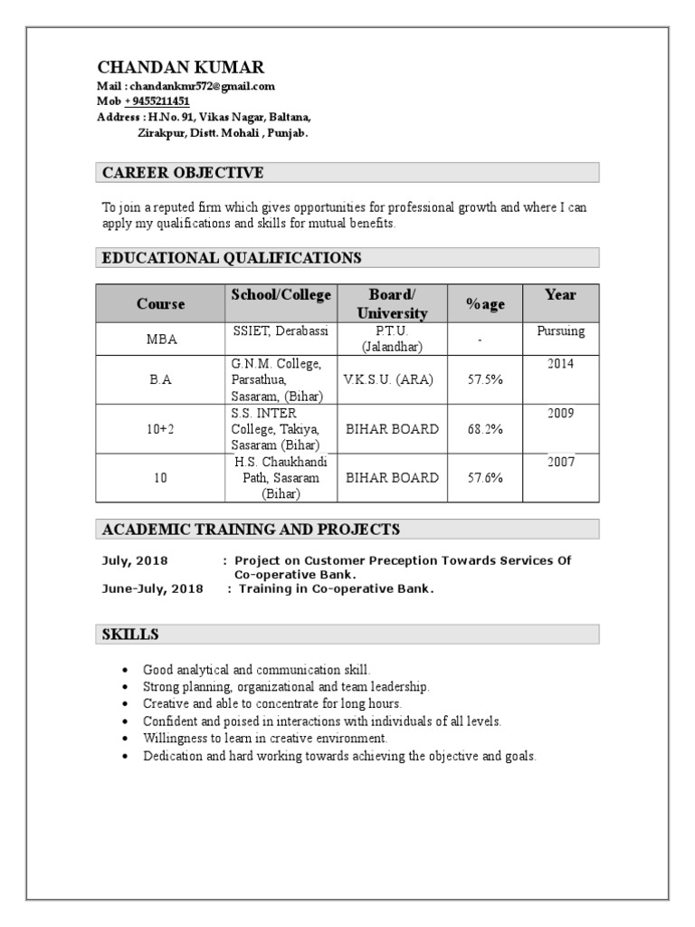 Chandan Kumar's CV Overview | PDF