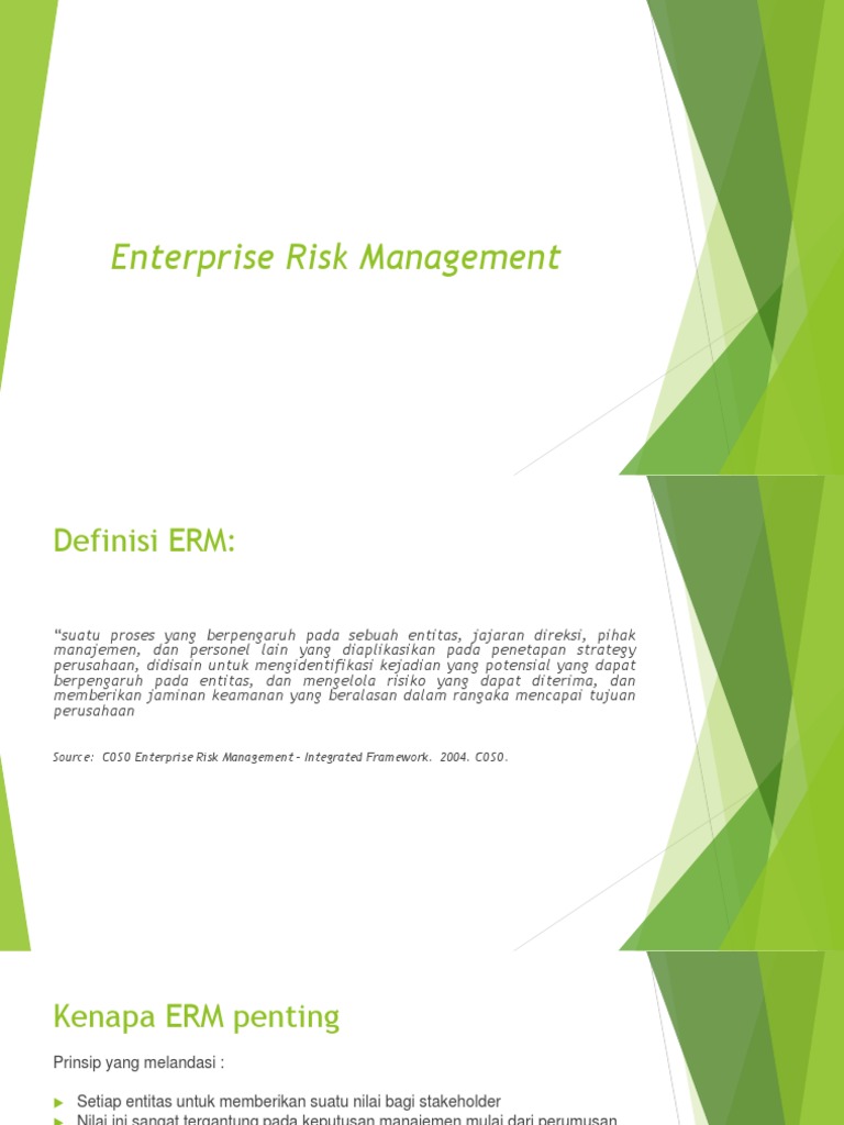 Enterprise Risk Management Pdf