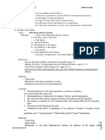 Male Reproductive System Eileen Aycardo