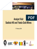 Analyst Visit Sadiola Hill and Yatela Gold Mines: 17 February 2004