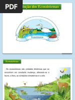 sucessoecolgica-convertido