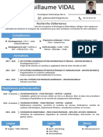 Vidal Guillaume CV