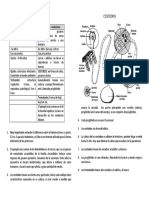 Práctico de Microbiología