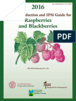 Raspberries and Blackberries: Organic Production and IPM Guide For