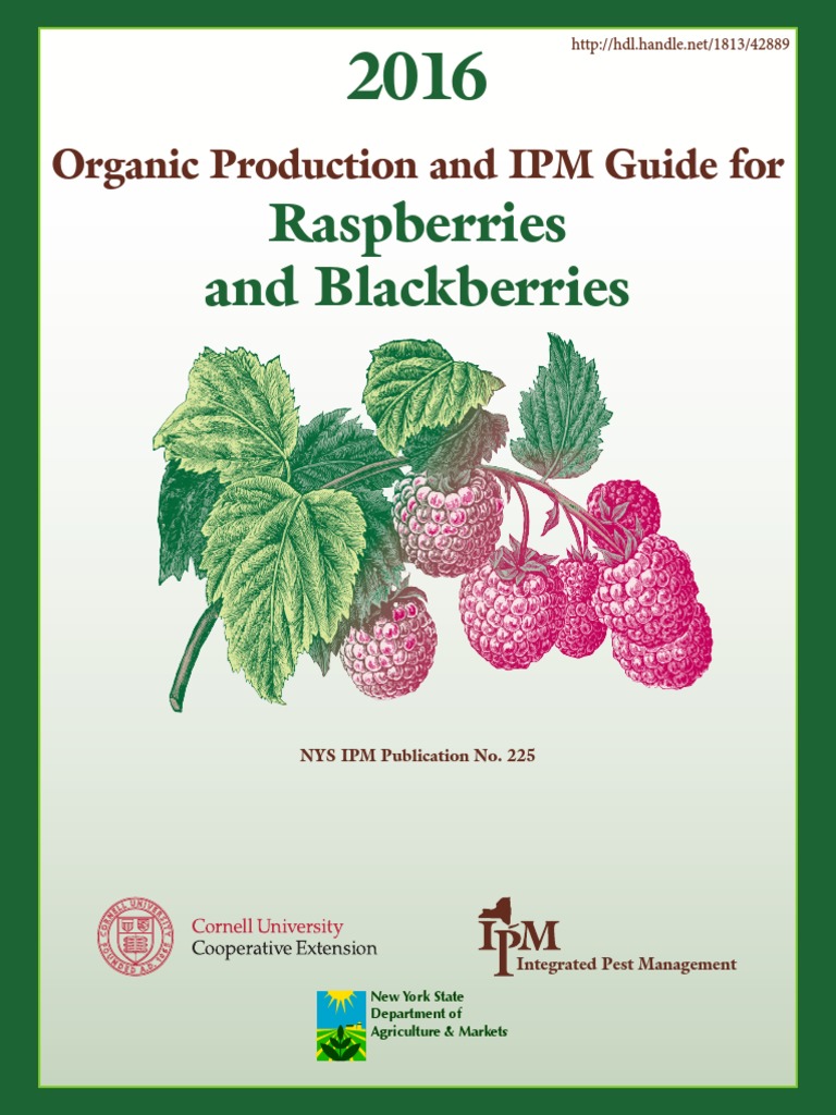 Raspberries and Blackberries: Organic Production and IPM Guide For ...