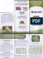 brocoli (1).pdf