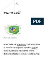 Plant Cell - Wikipedia