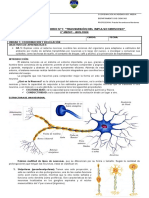 Guía N°1 - Laboratorio impulso nerviso - 3ero medio