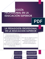 La Pedagogía Profesional en La Educación Superior