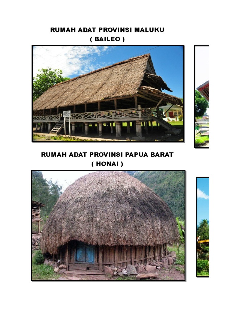 420 Gambar Rumah Adat Provinsi Papua Gratis