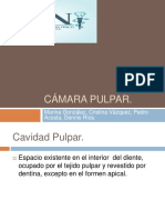 Cmarapulpar 140605012409 Phpapp01