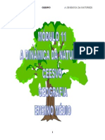 Geografia - CEESVO - Apostila - Módulo 11