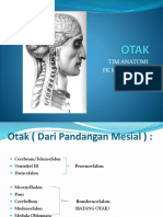 OTAK BLOK NEURO.pptx