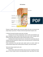 Cell Junctions