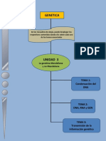 MAPA UNIDAD 3.pdf