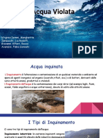 acqua violata.pdf
